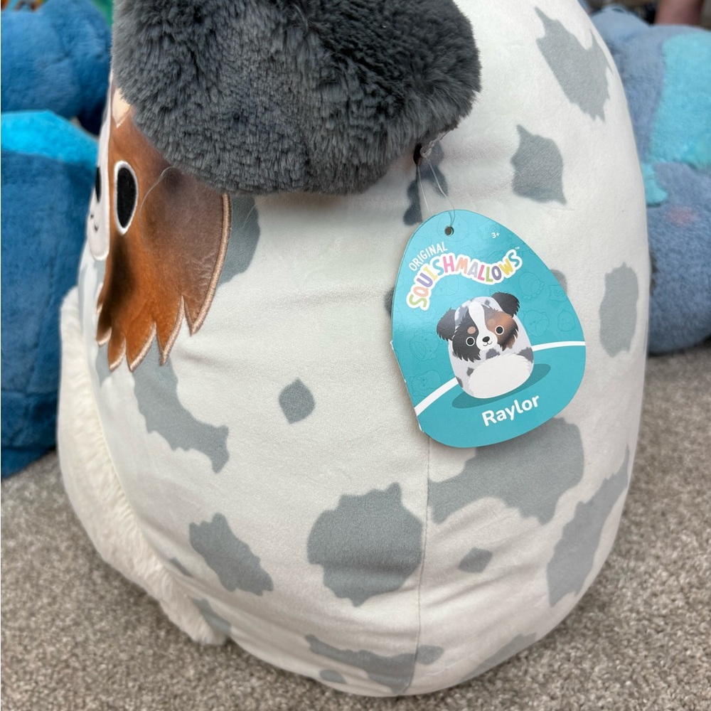 Squishmallows Raylor the Australian Shepherd large NWT - Picture 4 of 8